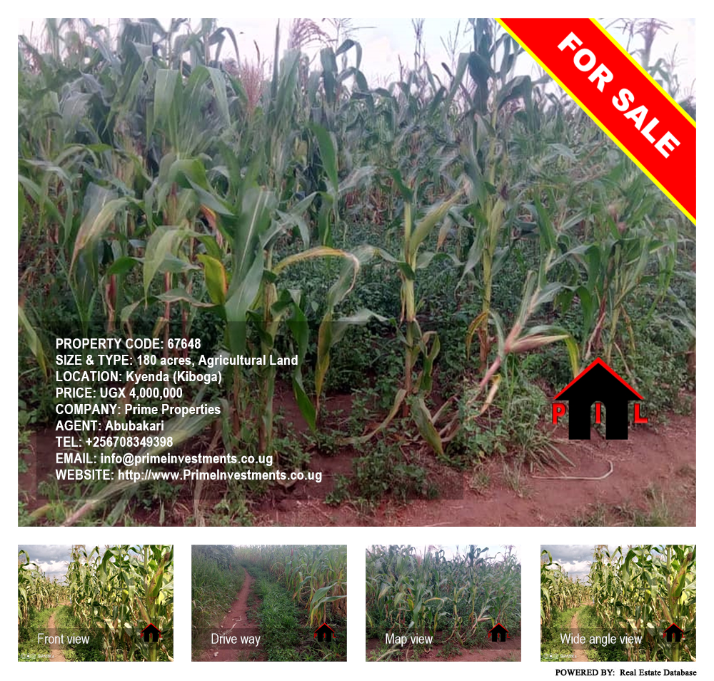 Agricultural Land  for sale in Kyenda Kiboga Uganda, code: 67648