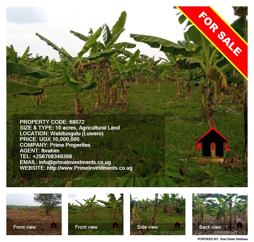 Agricultural Land  for sale in Wabitungulu Luweero Uganda, code: 68072