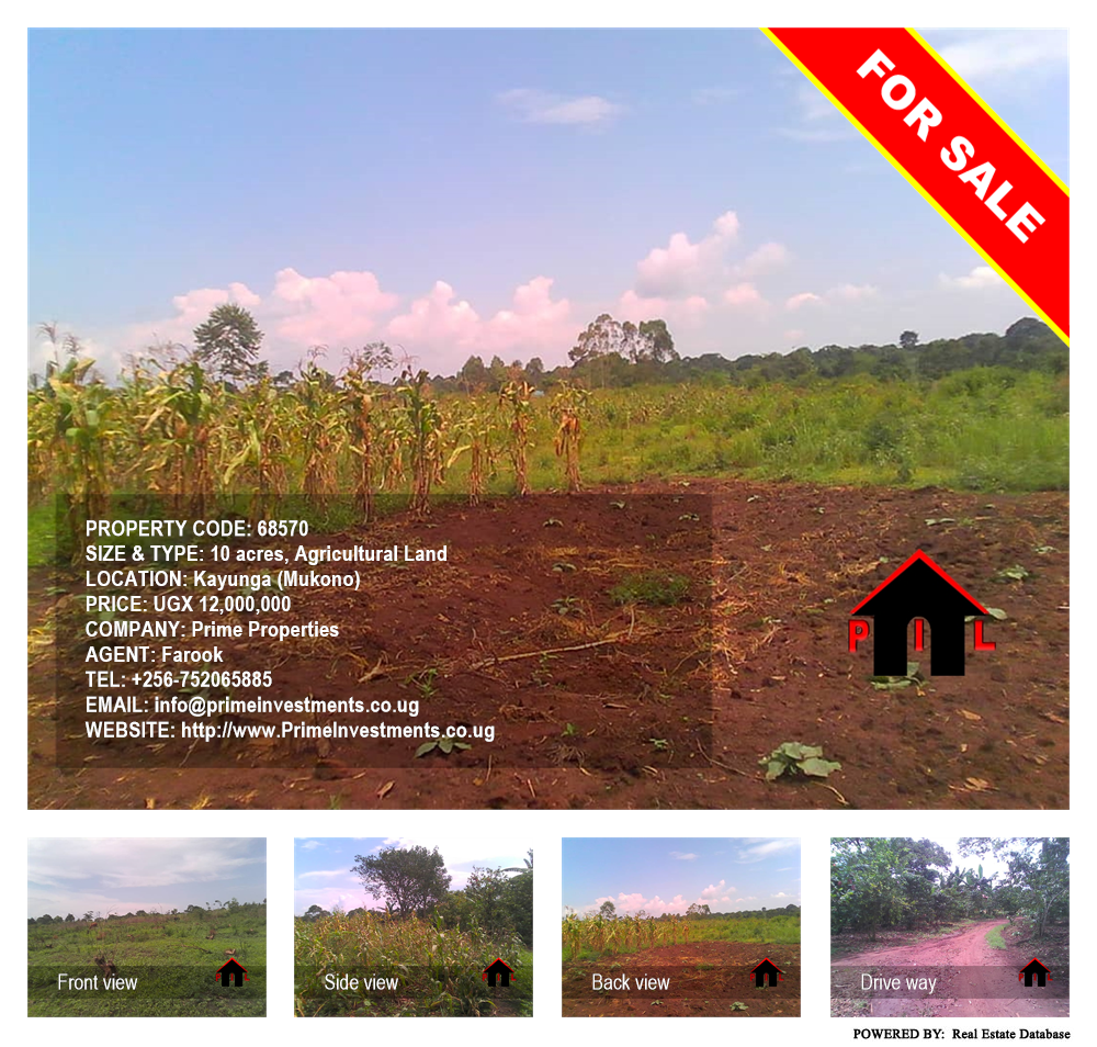 Agricultural Land  for sale in Kayunga Mukono Uganda, code: 68570