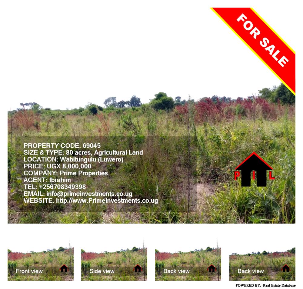 Agricultural Land  for sale in Wabitungulu Luweero Uganda, code: 69045