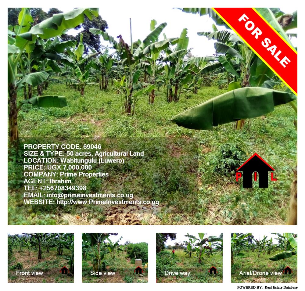 Agricultural Land  for sale in Wabitungulu Luweero Uganda, code: 69046