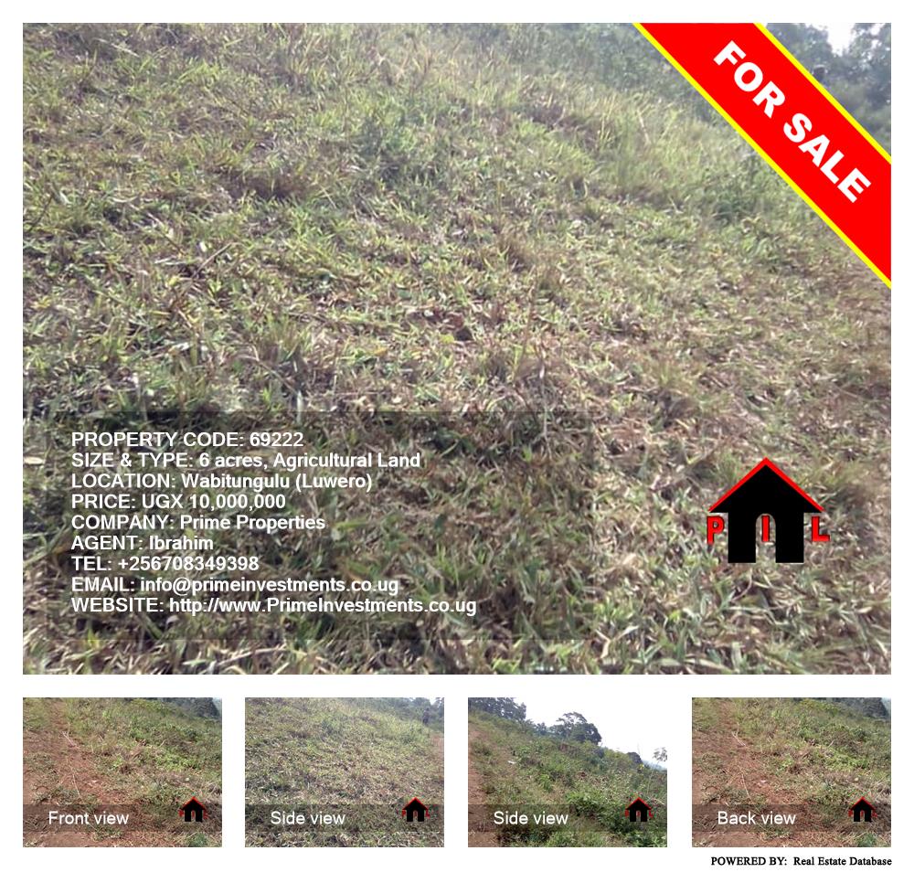 Agricultural Land  for sale in Wabitungulu Luweero Uganda, code: 69222