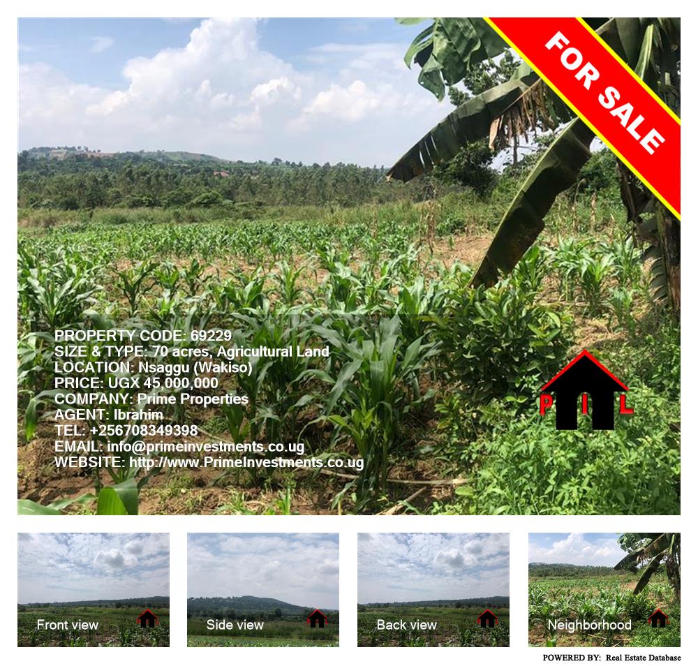 Agricultural Land  for sale in Nsaggu Wakiso Uganda, code: 69229