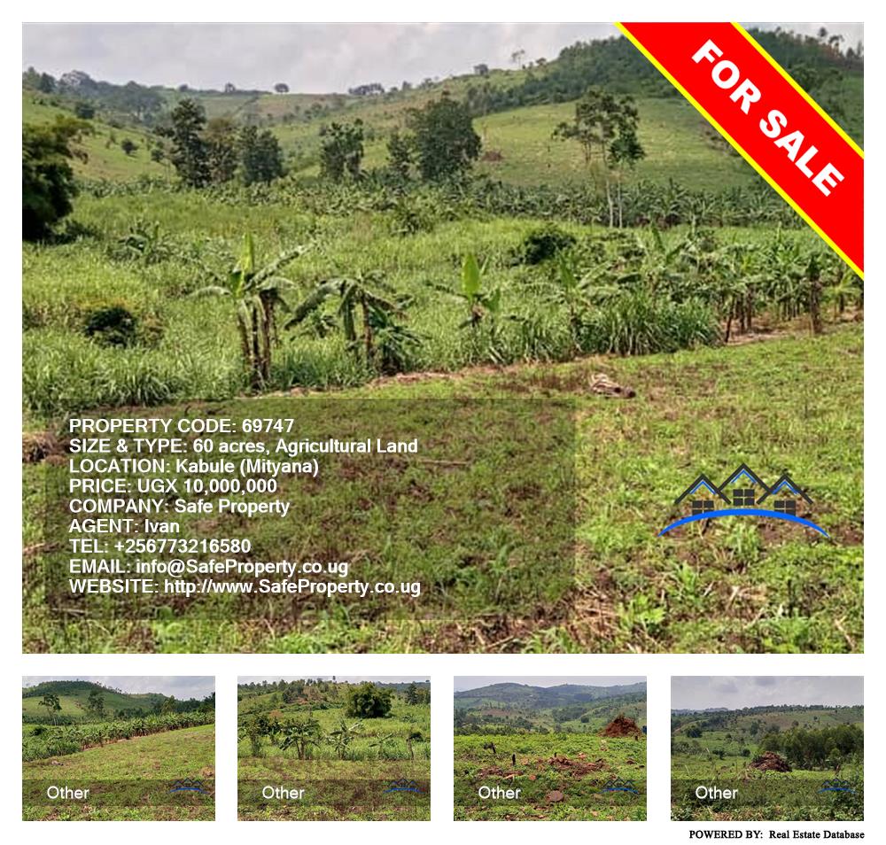 Agricultural Land  for sale in Kabule Mityana Uganda, code: 69747