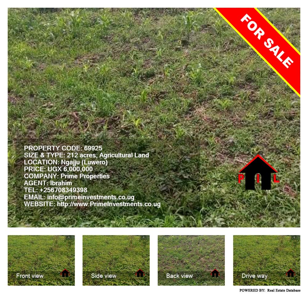 Agricultural Land  for sale in Ngajju Luweero Uganda, code: 69925