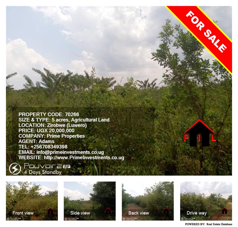 Agricultural Land  for sale in Ziloobwe Luweero Uganda, code: 70266
