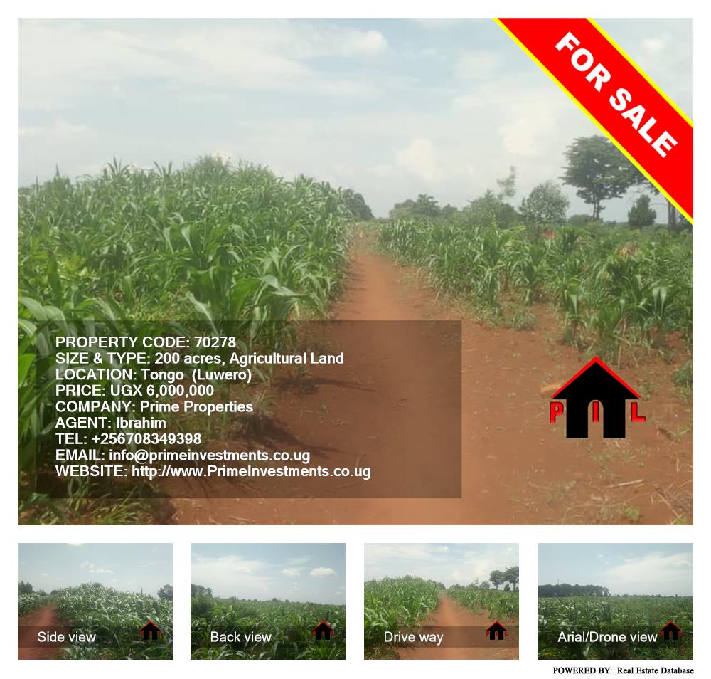 Agricultural Land  for sale in Tongo Luweero Uganda, code: 70278