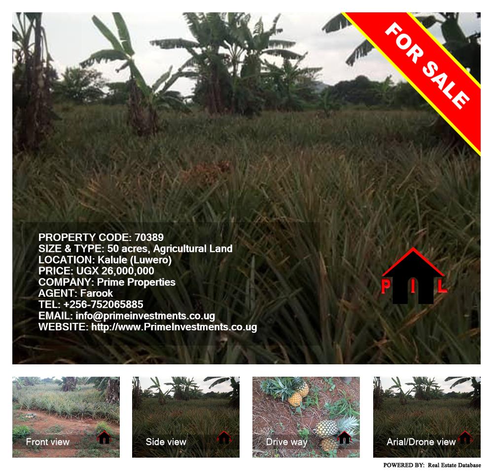 Agricultural Land  for sale in Kalule Luweero Uganda, code: 70389