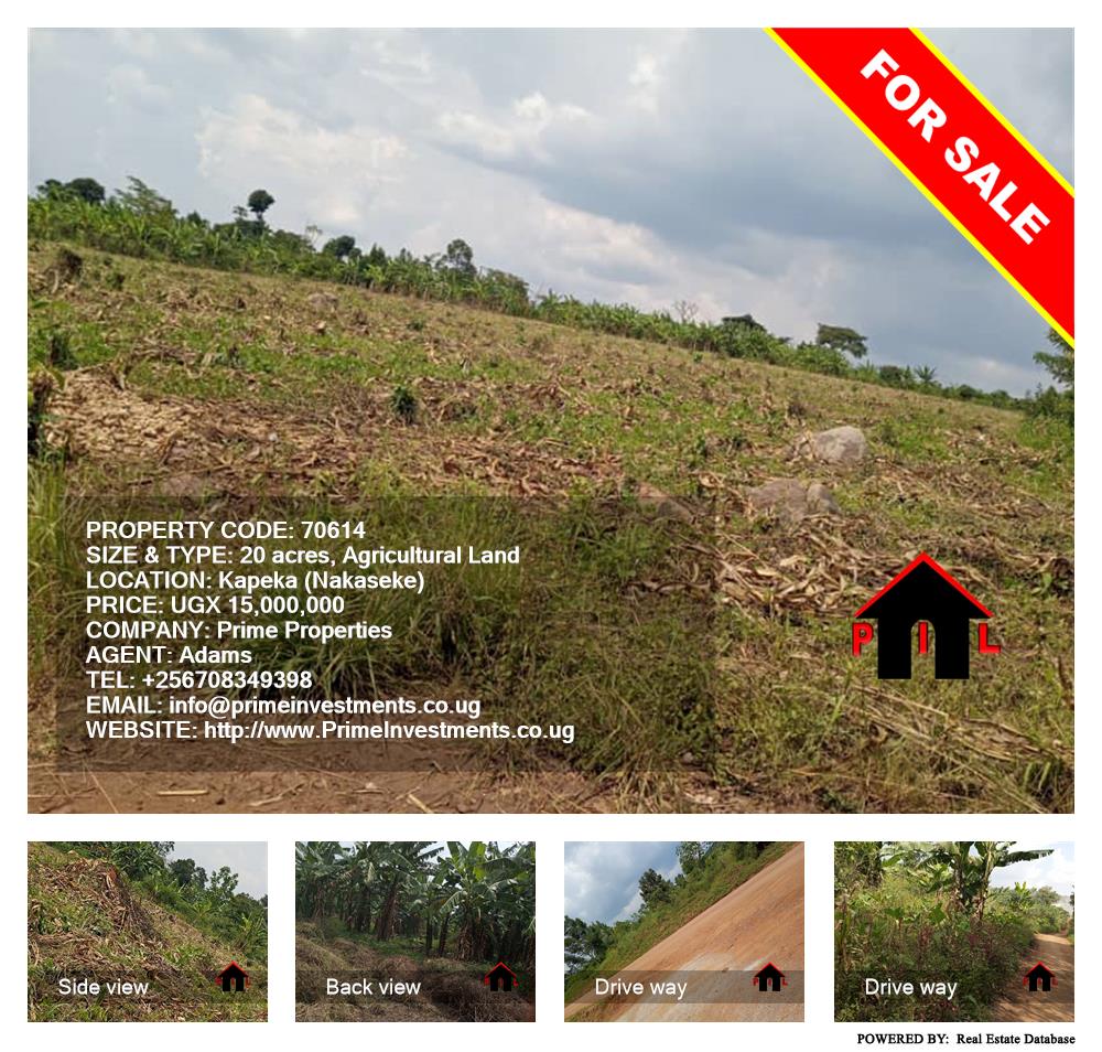 Agricultural Land  for sale in Kapeeka Nakaseke Uganda, code: 70614