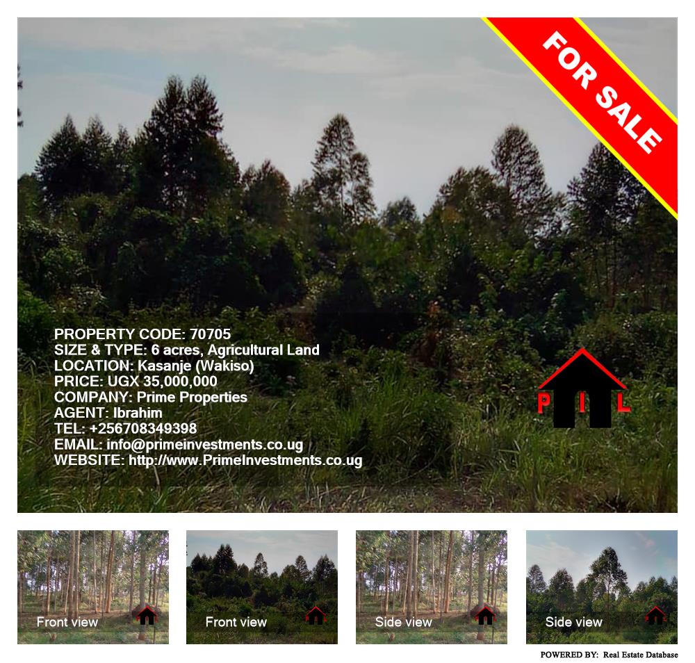 Agricultural Land  for sale in Kasanjje Wakiso Uganda, code: 70705