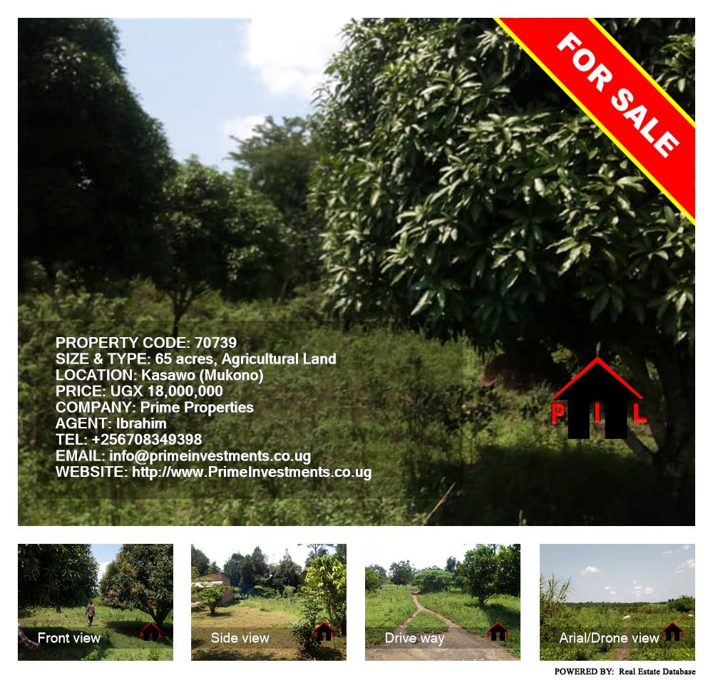 Agricultural Land  for sale in Kasawo Mukono Uganda, code: 70739