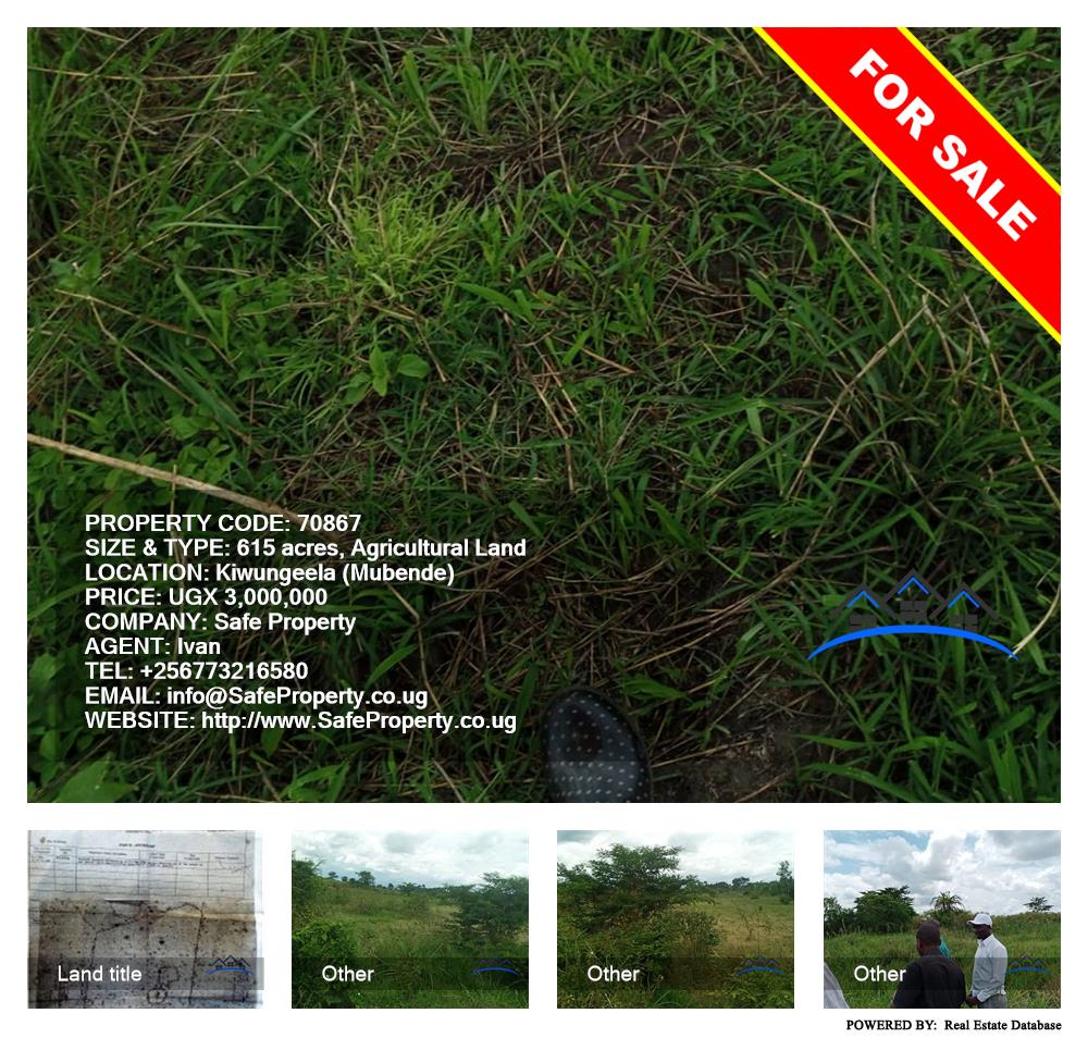 Agricultural Land  for sale in Kiwungeela Mubende Uganda, code: 70867