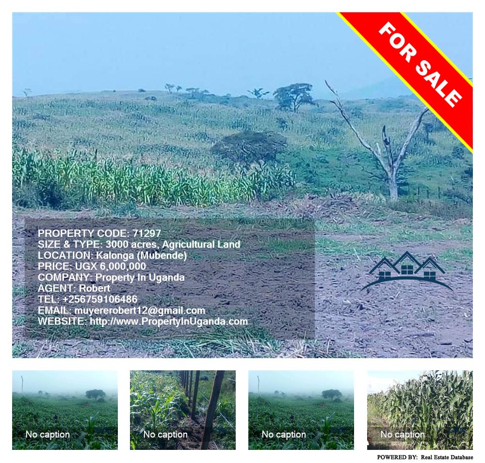 Agricultural Land  for sale in Kalonga Mubende Uganda, code: 71297