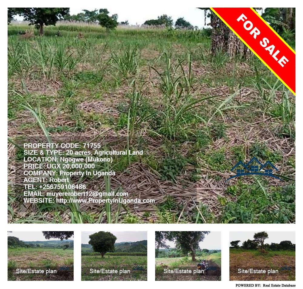 Agricultural Land  for sale in Ngogwe Mukono Uganda, code: 71755