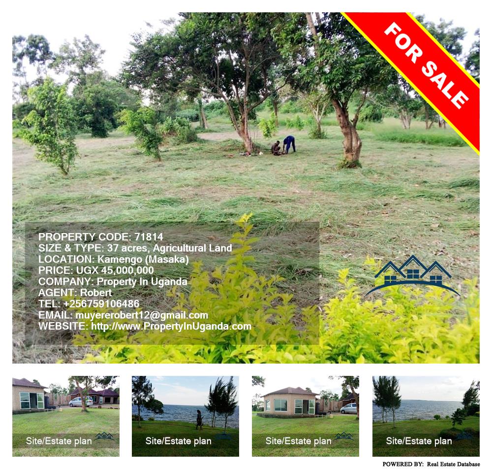 Agricultural Land  for sale in Kamengo Masaka Uganda, code: 71814