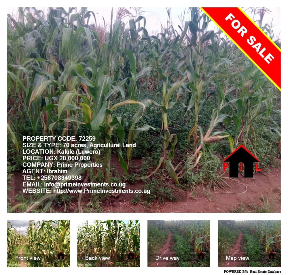 Agricultural Land  for sale in Kalule Luweero Uganda, code: 72259