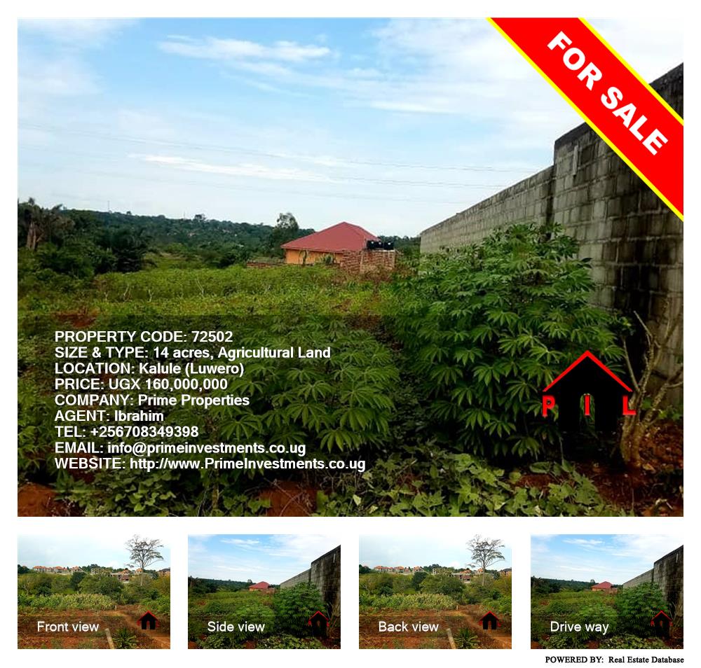 Agricultural Land  for sale in Kalule Luweero Uganda, code: 72502