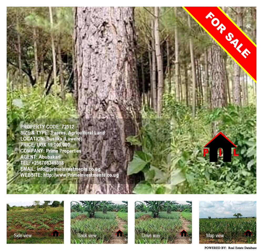 Agricultural Land  for sale in Busiika Luweero Uganda, code: 72512
