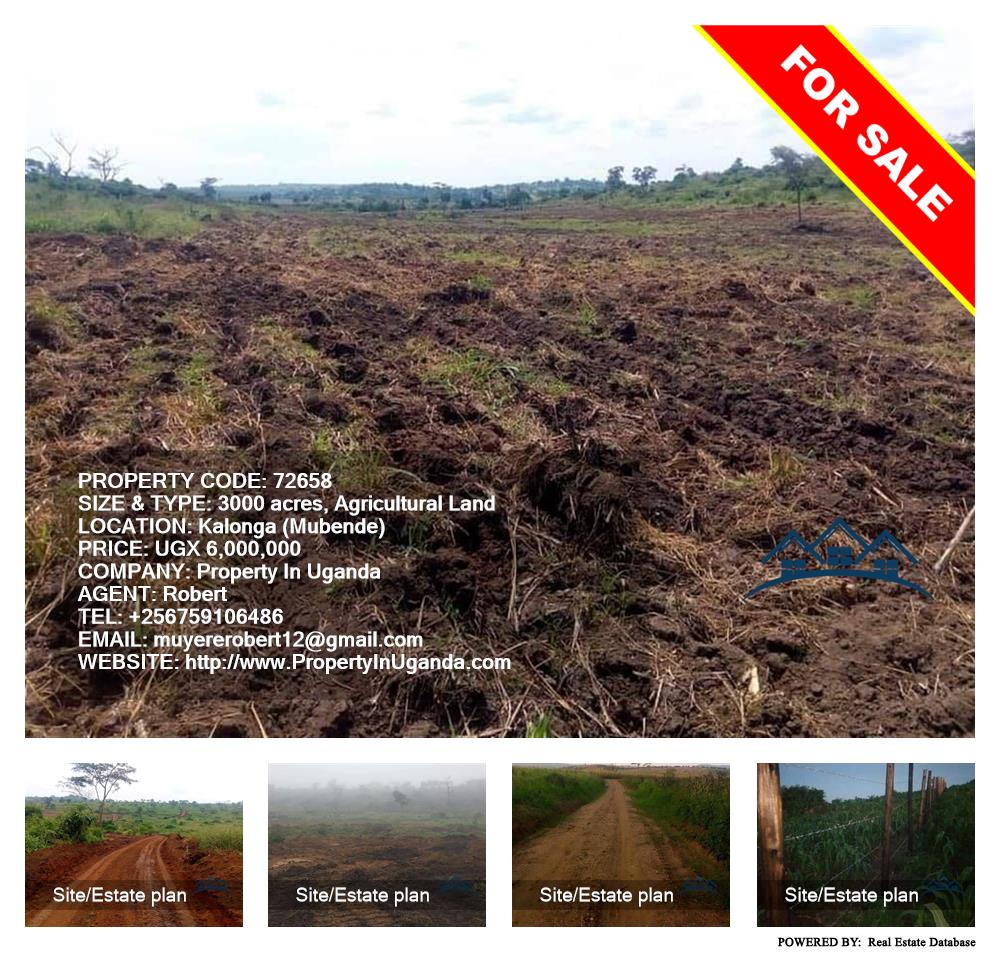 Agricultural Land  for sale in Kalonga Mubende Uganda, code: 72658