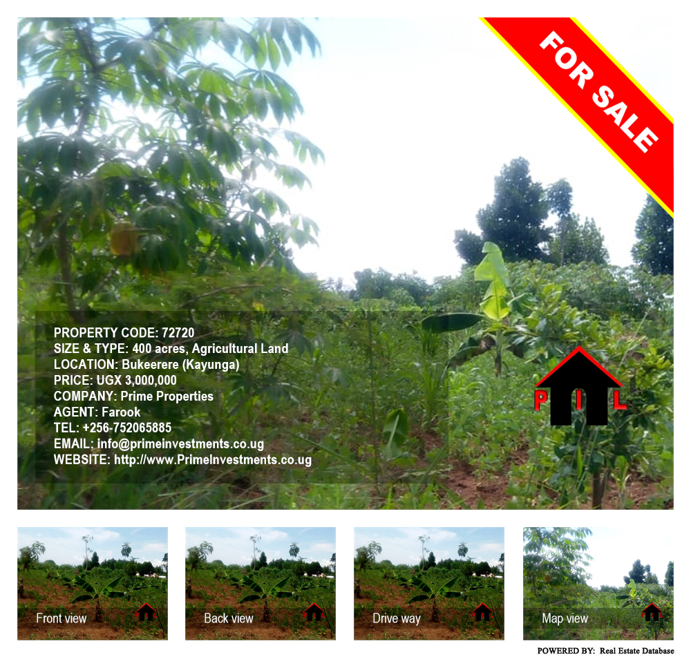Agricultural Land  for sale in Bukeelele Kayunga Uganda, code: 72720