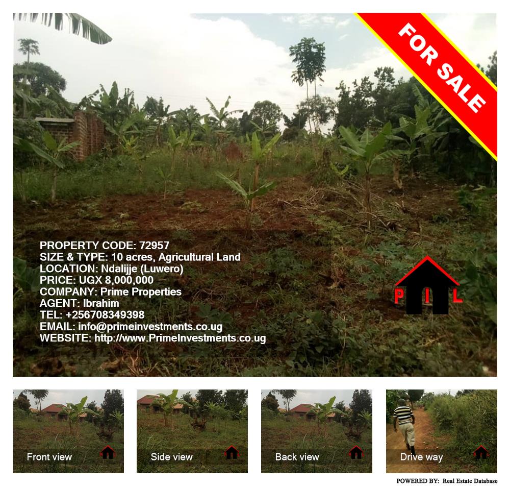Agricultural Land  for sale in Ndalijje Luweero Uganda, code: 72957