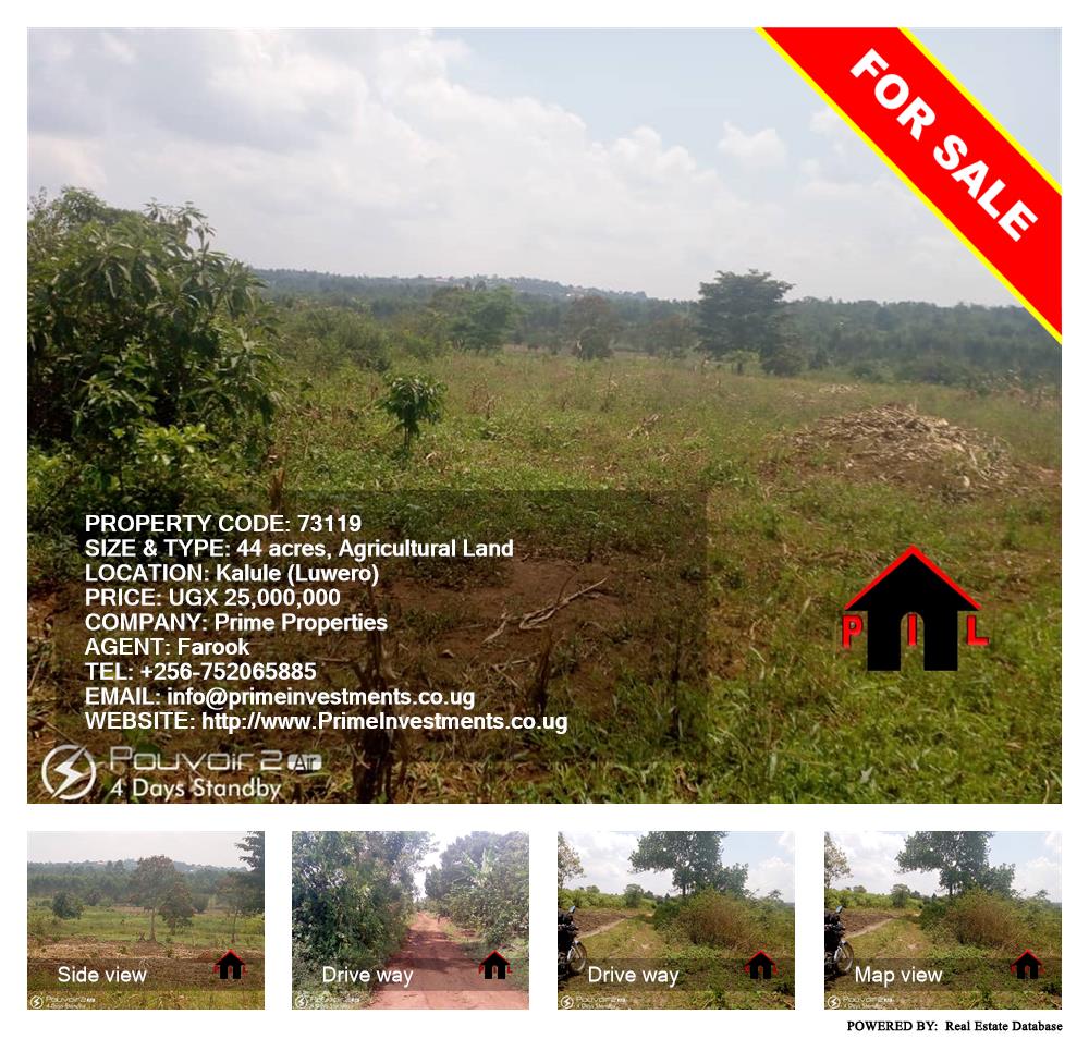 Agricultural Land  for sale in Kalule Luweero Uganda, code: 73119