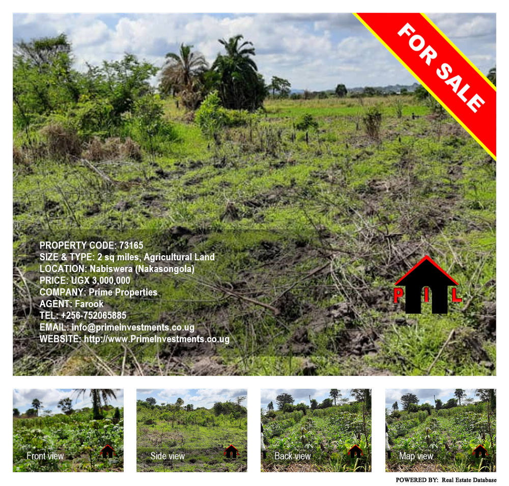 Agricultural Land  for sale in Nabiswera Nakasongola Uganda, code: 73165