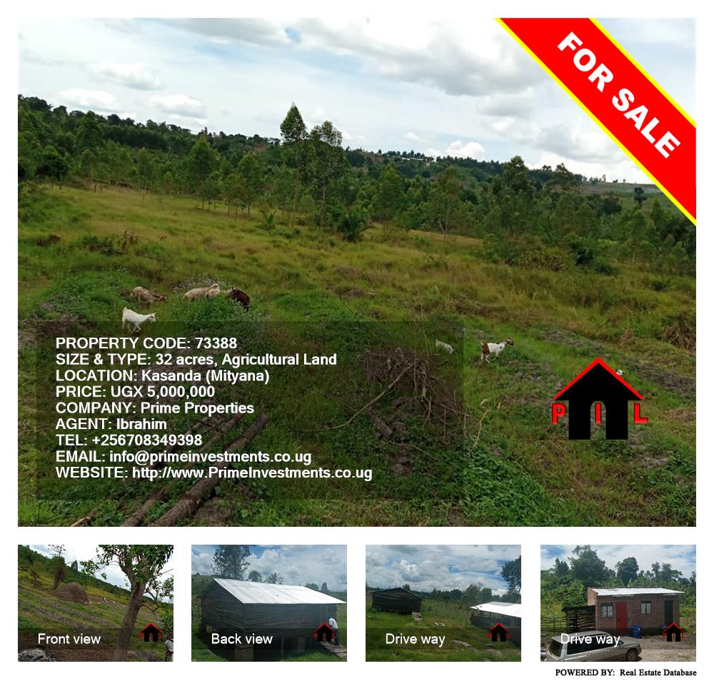 Agricultural Land  for sale in Kassanda Mityana Uganda, code: 73388