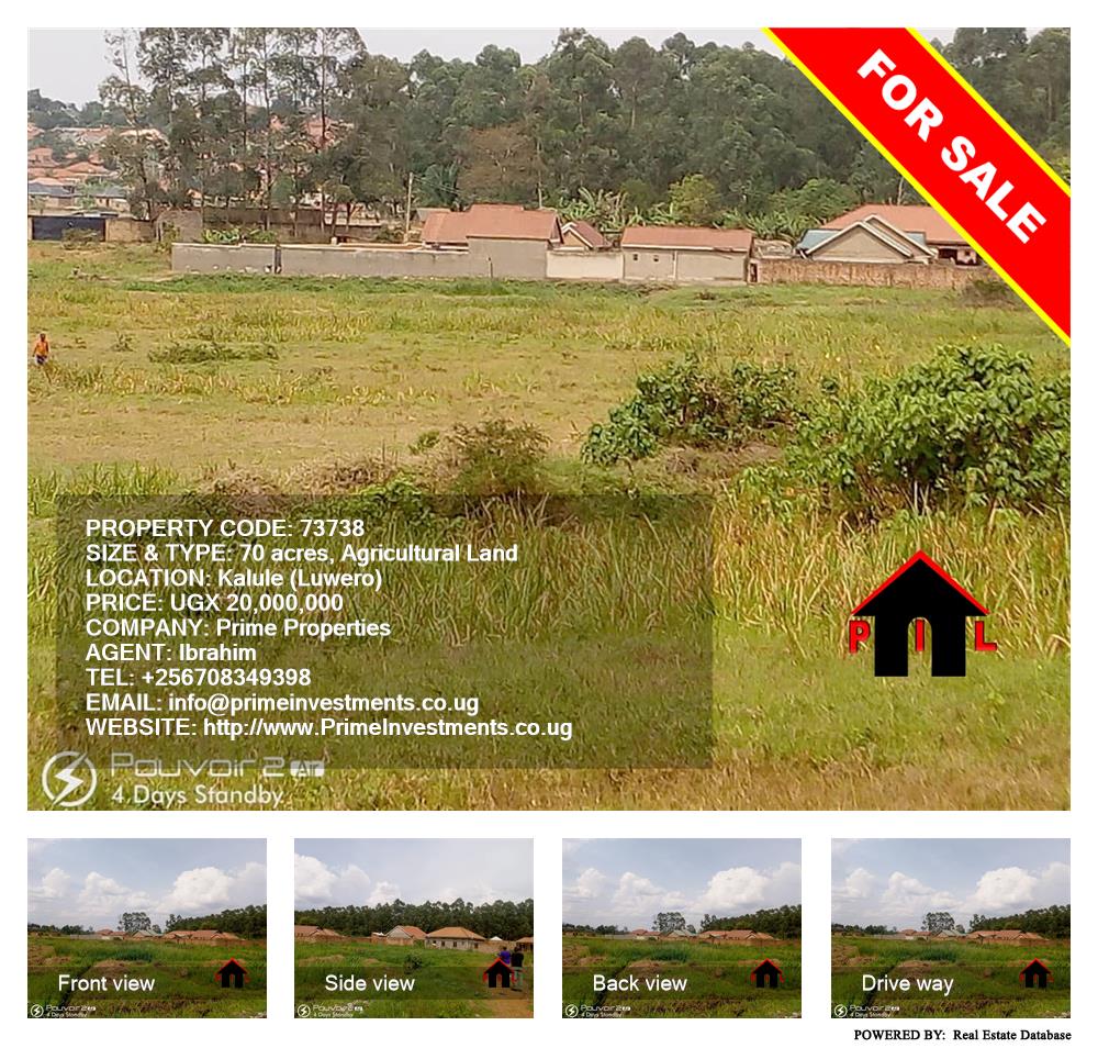 Agricultural Land  for sale in Kalule Luweero Uganda, code: 73738