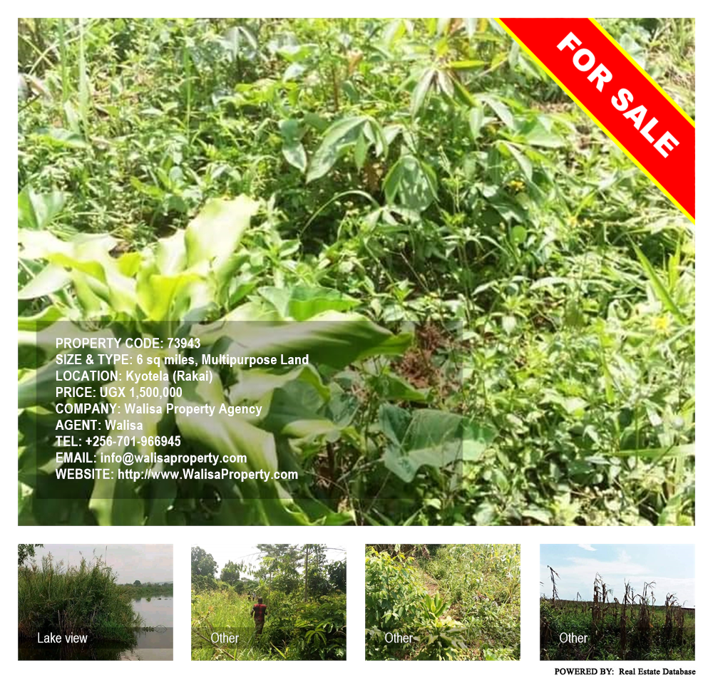 Multipurpose Land  for sale in Kyotela Rakai Uganda, code: 73943