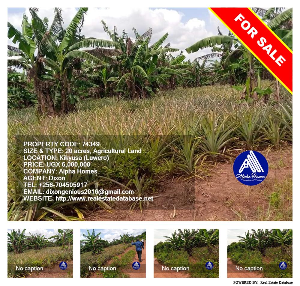 Agricultural Land  for sale in Kikyuusa Luweero Uganda, code: 74349