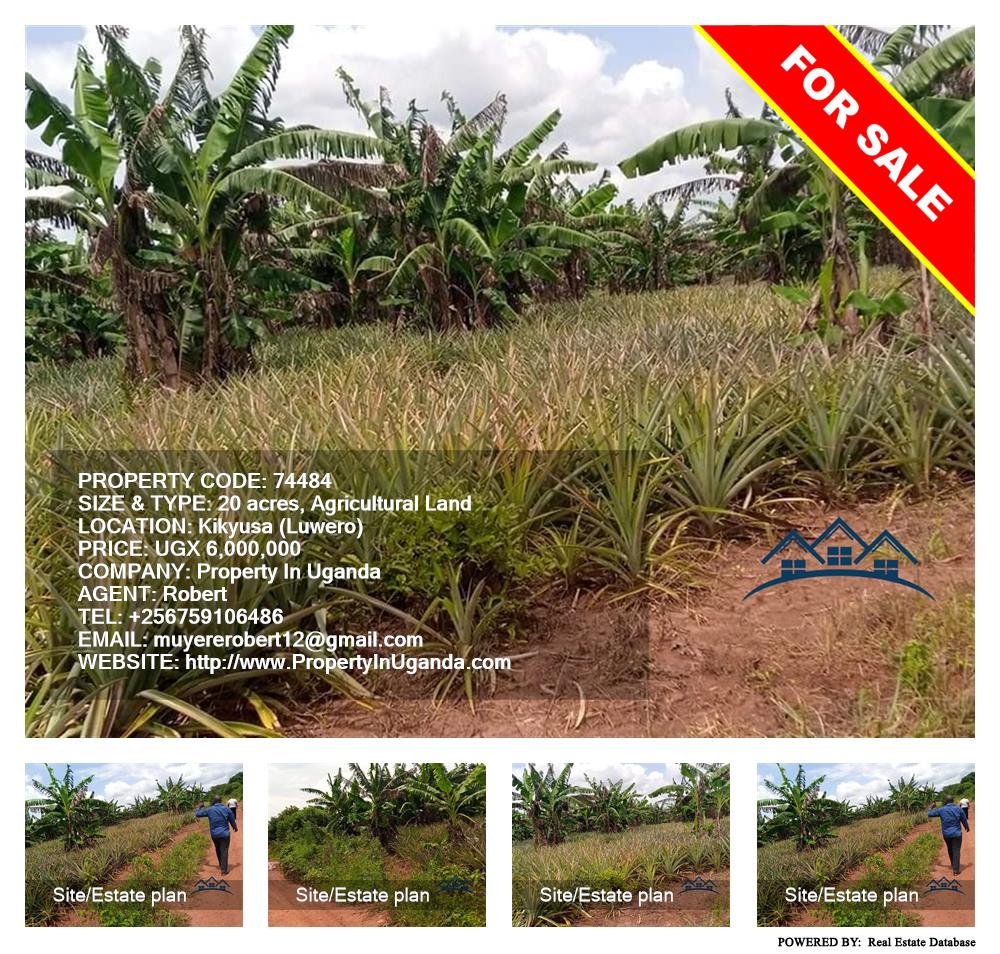 Agricultural Land  for sale in Kikyuusa Luweero Uganda, code: 74484