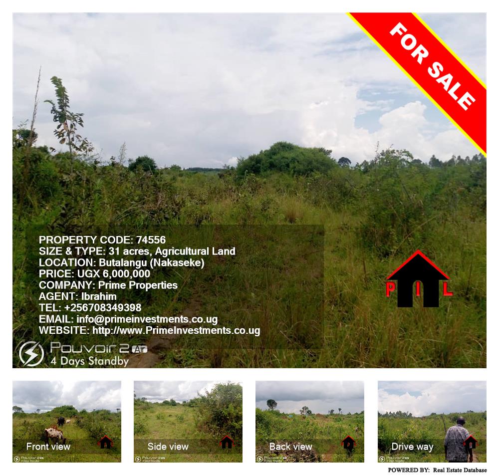 Agricultural Land  for sale in Butalangu Nakaseke Uganda, code: 74556