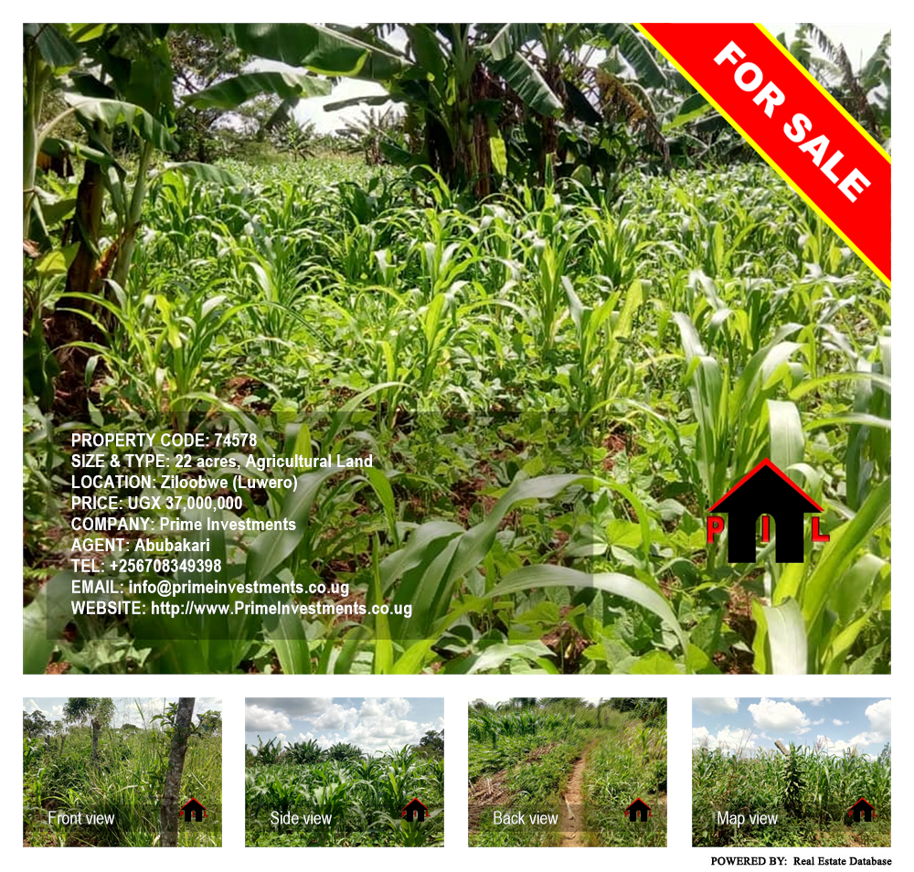 Agricultural Land  for sale in Ziloobwe Luweero Uganda, code: 74578