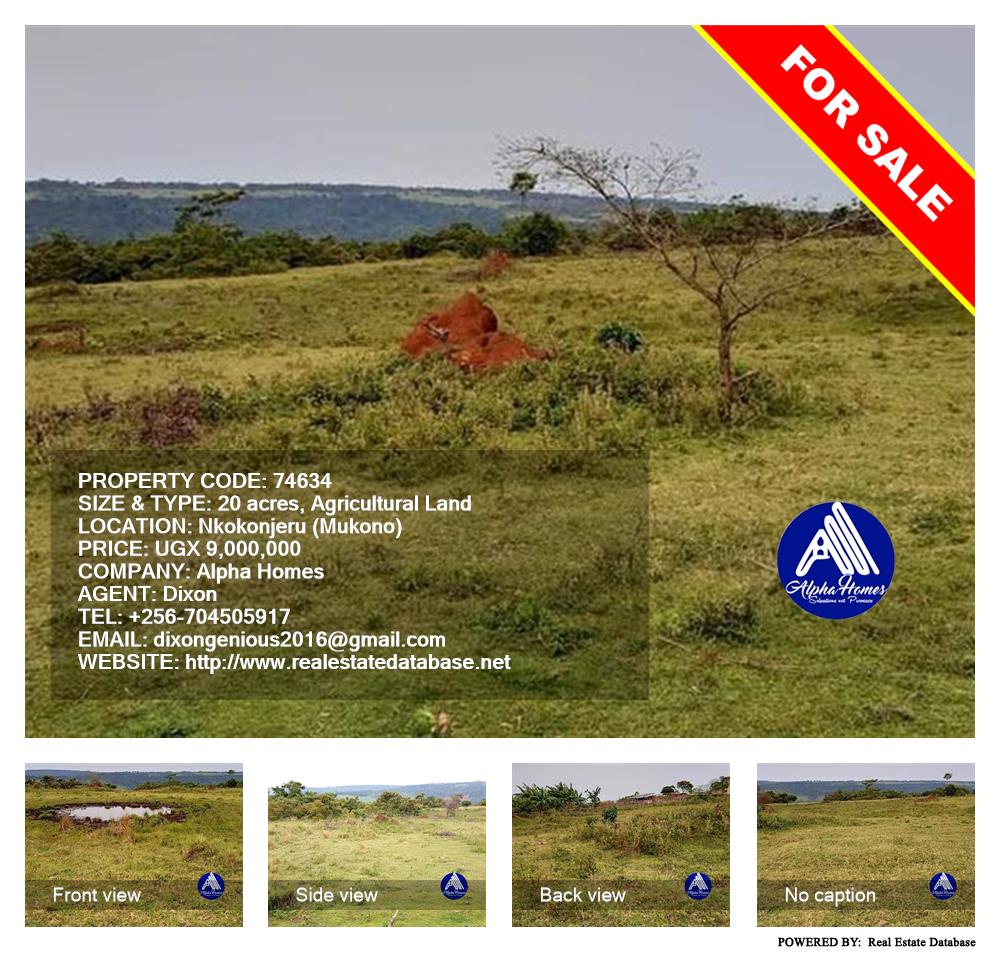 Agricultural Land  for sale in Nkokonjeru Mukono Uganda, code: 74634