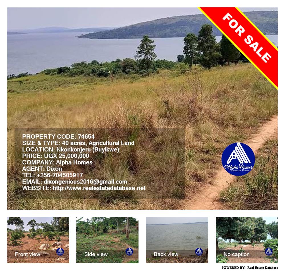 Agricultural Land  for sale in Nkokonjeru Buyikwe Uganda, code: 74654