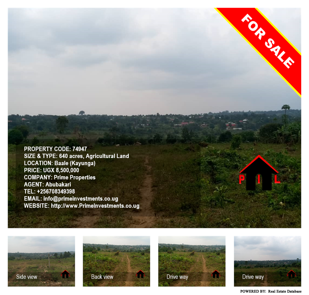 Agricultural Land  for sale in Bbaale Kayunga Uganda, code: 74947