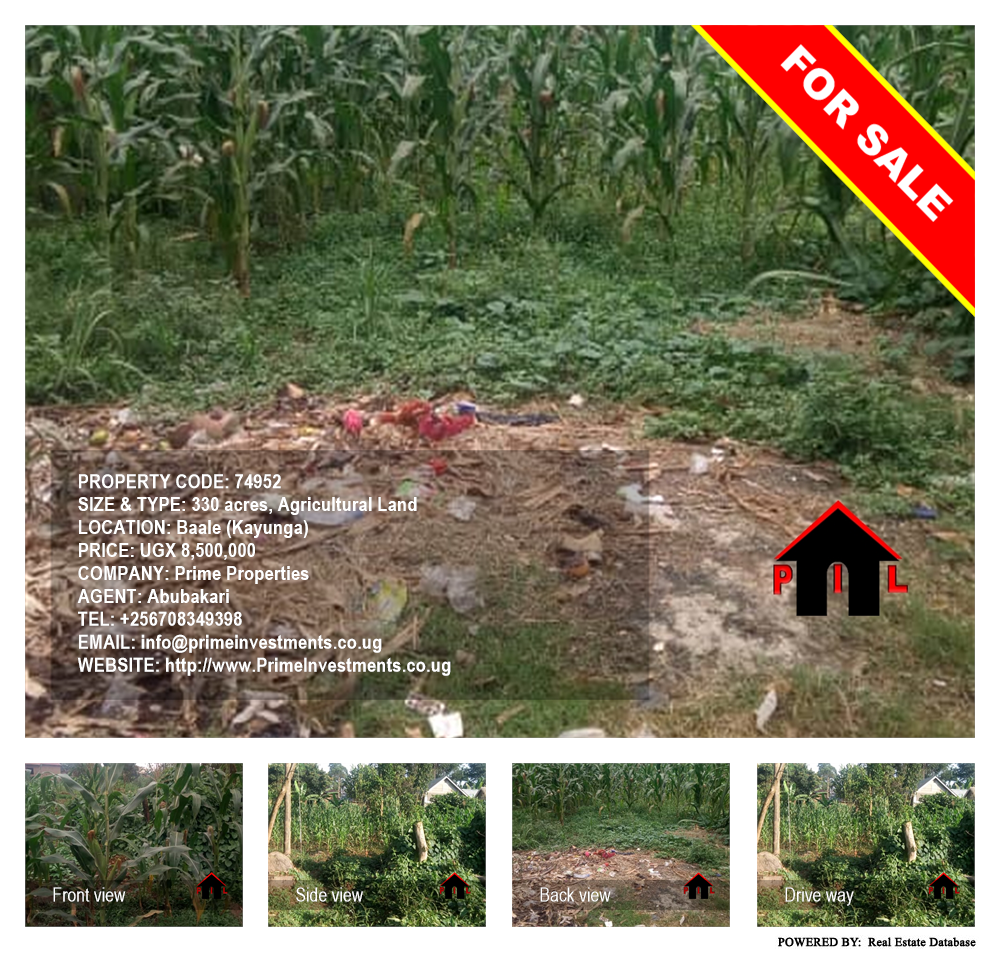 Agricultural Land  for sale in Bbaale Kayunga Uganda, code: 74952