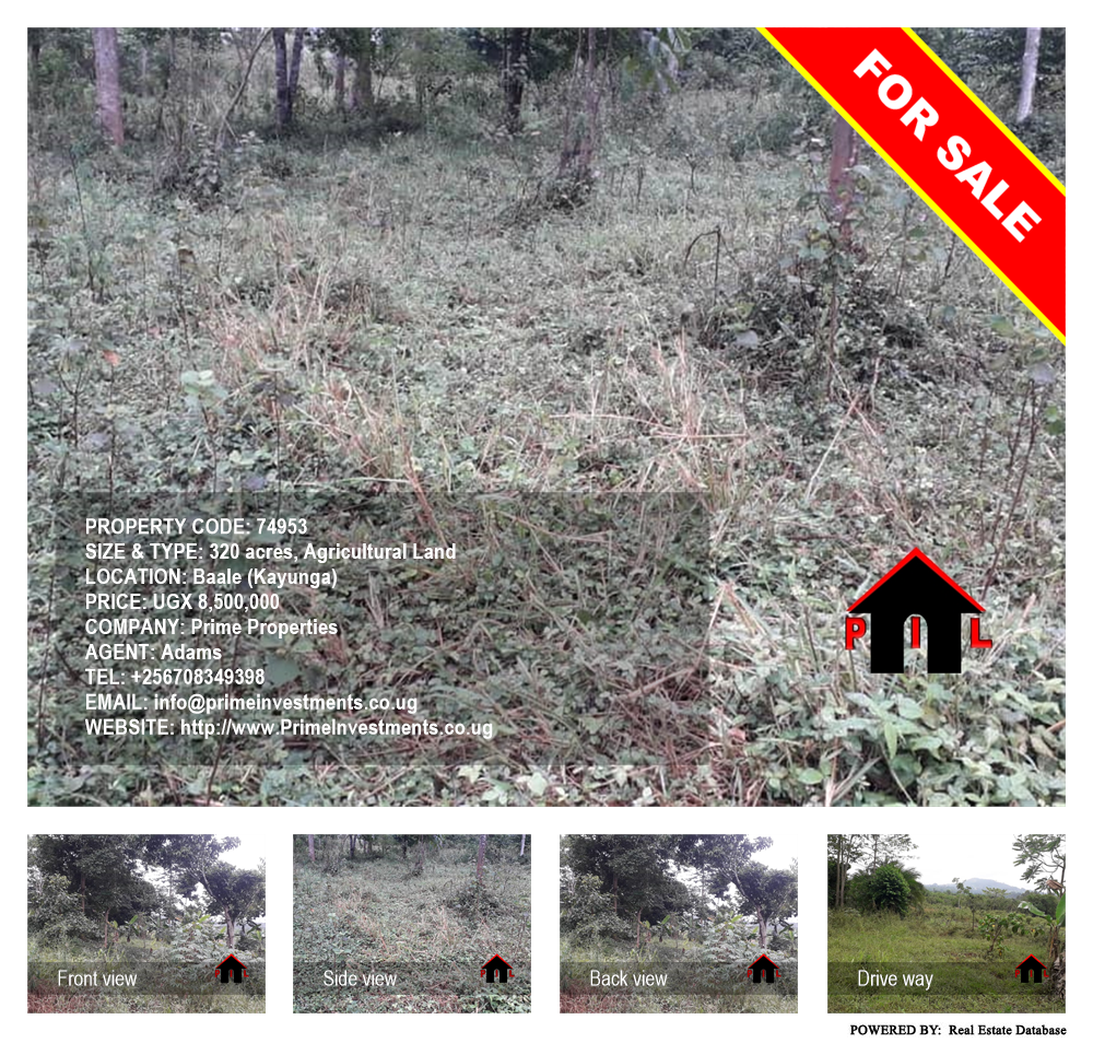 Agricultural Land  for sale in Bbaale Kayunga Uganda, code: 74953