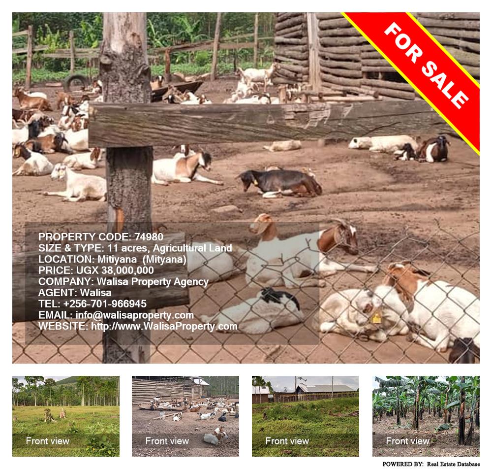 Agricultural Land  for sale in Mitiyana Mityana Uganda, code: 74980