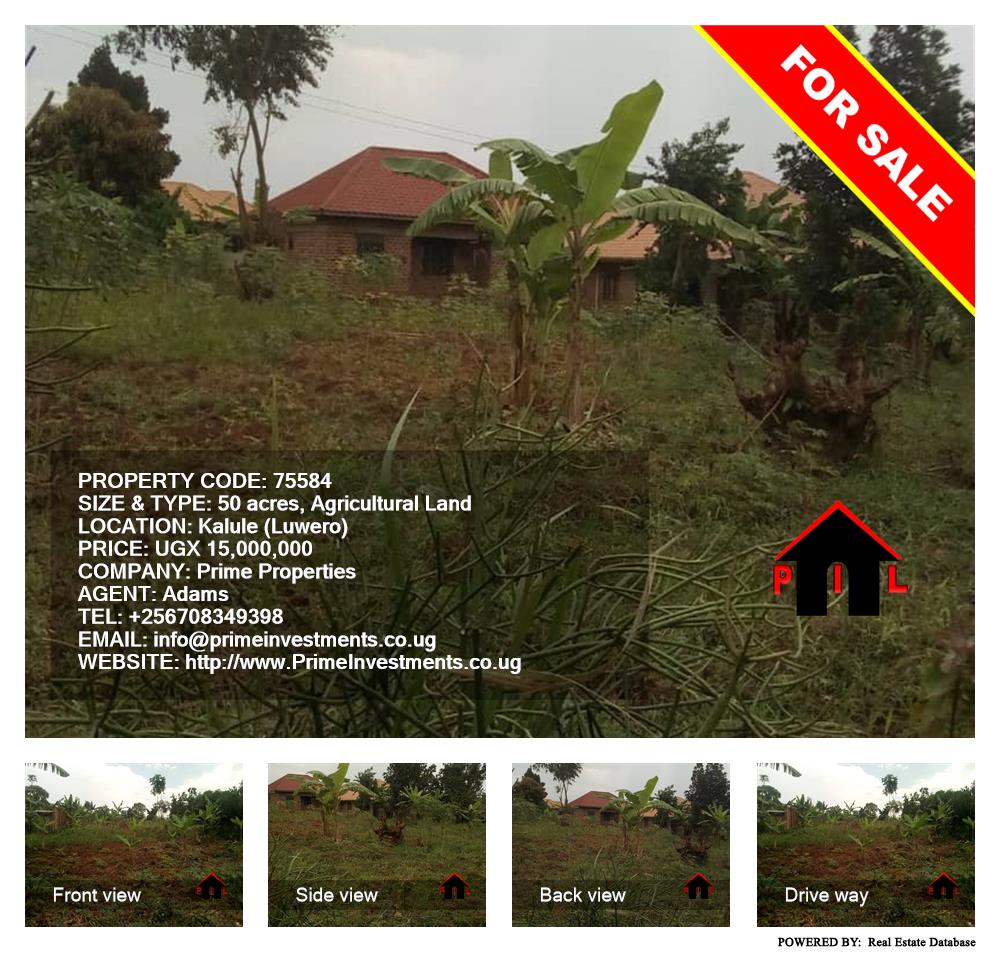 Agricultural Land  for sale in Kalule Luweero Uganda, code: 75584