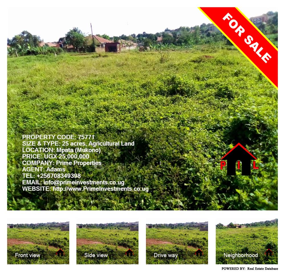 Agricultural Land  for sale in Mpata Mukono Uganda, code: 75771