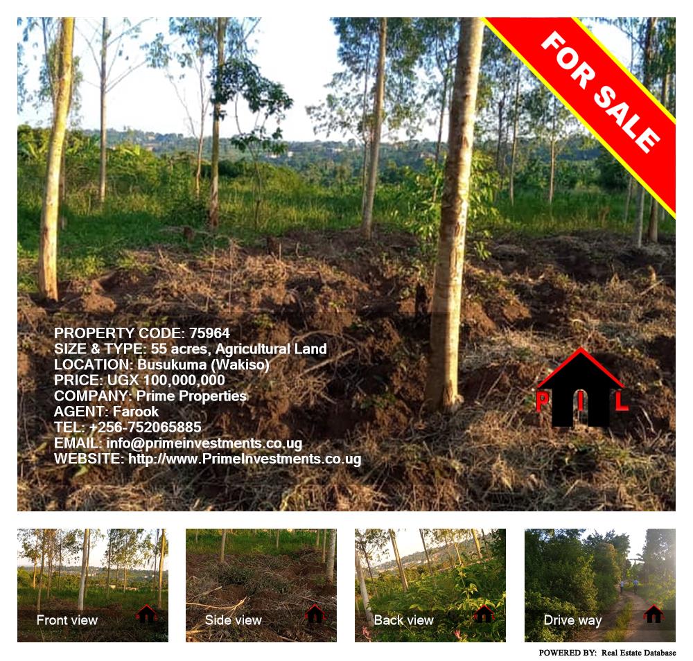 Agricultural Land  for sale in Busukuma Wakiso Uganda, code: 75964