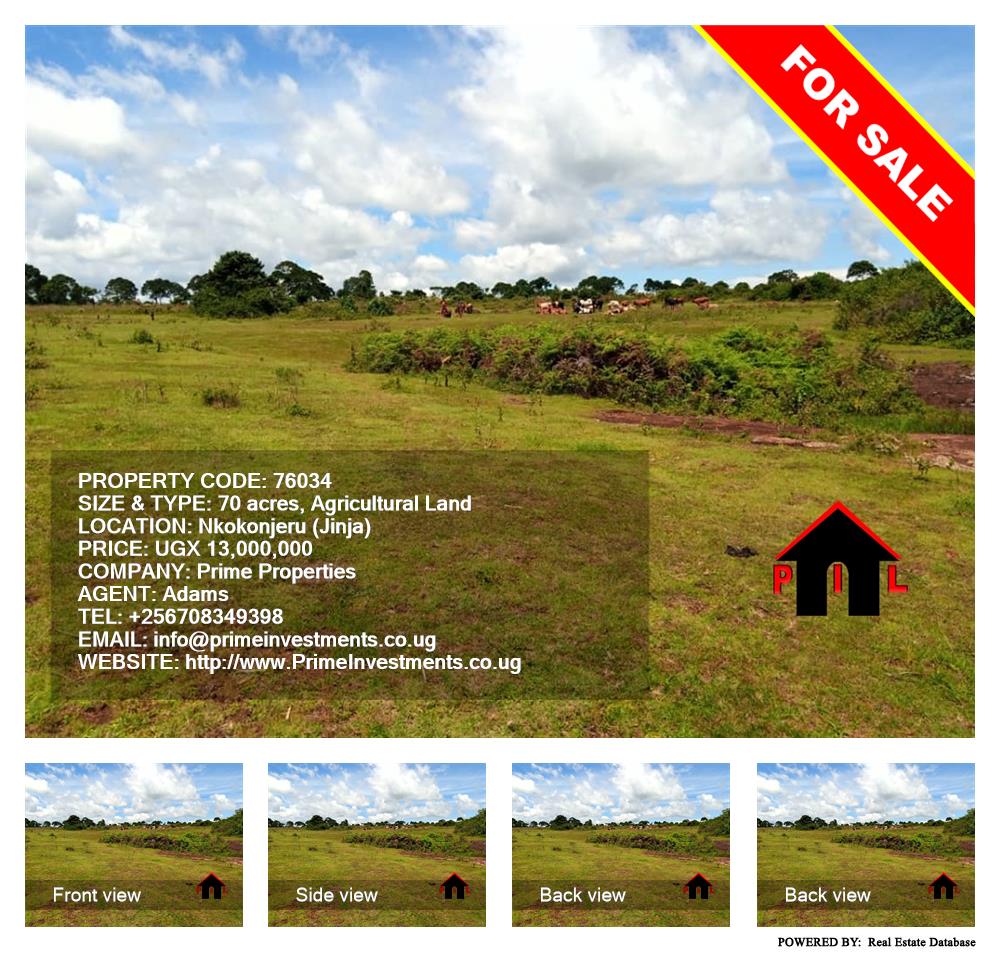 Agricultural Land  for sale in Nkokonjeru Jinja Uganda, code: 76034