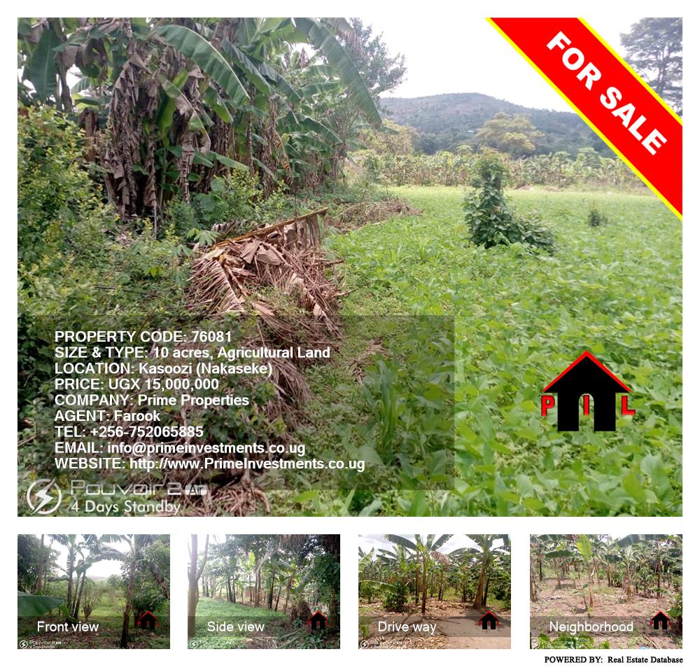 Agricultural Land  for sale in Kasoozi Nakaseke Uganda, code: 76081