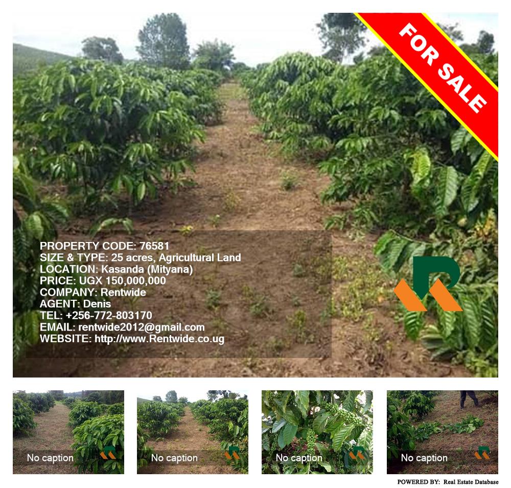 Agricultural Land  for sale in Kassanda Mityana Uganda, code: 76581
