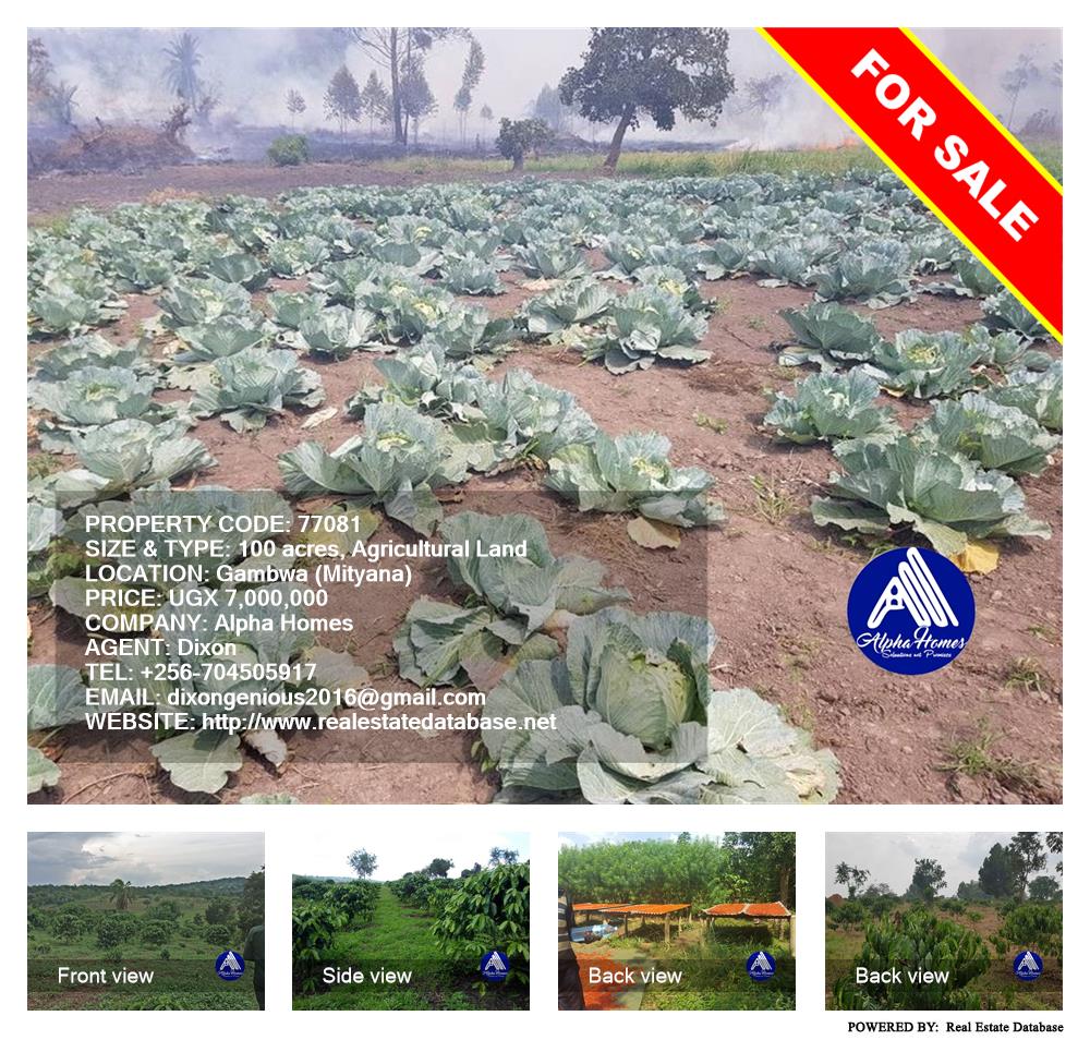 Agricultural Land  for sale in Gambwa Mityana Uganda, code: 77081