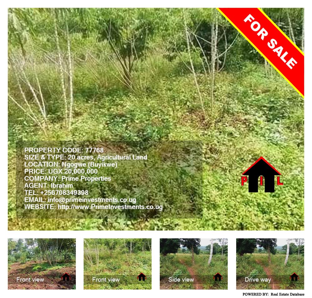 Agricultural Land  for sale in Ngogwe Buyikwe Uganda, code: 77768