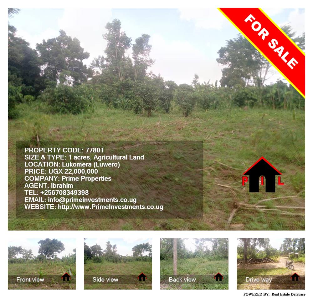Agricultural Land  for sale in Lukomera Luweero Uganda, code: 77801