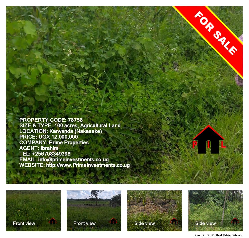 Agricultural Land  for sale in Kanyanda Nakaseke Uganda, code: 78758